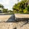 Municipal Sidewalk Liability: 2026 Florida Guide